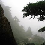 黄山美图片 自然风光 风景图片