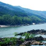 做客橄榄坝[]图片 自然风光 风景图片