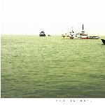 湛江渔港图片 自然风光 风景图片