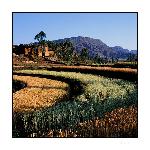 练象关图片 自然风光 风景图片