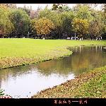 深秋初冬----西湖掠影图片 自然风光 风景图片