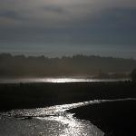 额尔齐斯河之晨图片 自然风光 风景图片