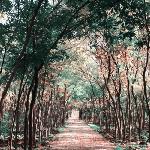 秋の油彩图片 自然风光 风景图片