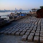 江堤纪实图片 自然风光 风景图片