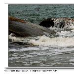 海滨归来------篇图片 自然风光 风景图片