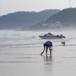 青岛行之一图片 自然风光 风景图片