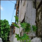 hometown memory图片 自然风光 风景图片