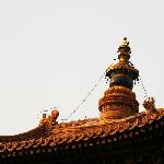 Yong He Lama Temple图片 自然风光 风景图片