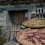 阳江十月-A图片 自然风光 风景图片