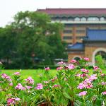 老景回顾（广州中山纪念堂）图片 自然风光 风景图片