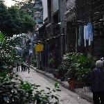广州仅剩的遗产图片 自然风光 风景图片