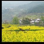 我从江岭走来。。。。。图片 自然风光 风景图片