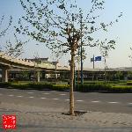 再学习摄影图片 自然风光 风景图片