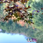 <石门红叶>图片 自然风光 风景图片