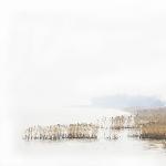 冬天的太湖图片 自然风光 风景图片