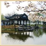 花开烂漫笑莫愁图片 自然风光 风景图片
