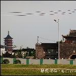 远望北寺塔图片 自然风光 风景图片