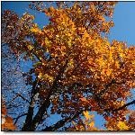 喇叭沟门的秋色（三）图片 自然风光 风景图片