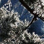 四十里腰站的雾凇图片 自然风光 风景图片