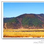 纳帕海草原图片 自然风光 风景图片