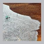 霞浦滩涂--肖涵作品图片 自然风光 风景图片