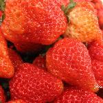 strawberry on the spring图片 自然风光 风景图片
