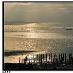 海滨丽景---深圳图片 自然风光 风景图片