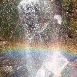 莫干山避暑图片 自然风光 风景图片