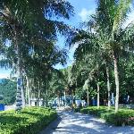 深圳大梅沙之行图片 自然风光 风景图片