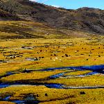 走近川藏——扎西卡草原图片 自然风光 风景图片
