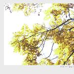 Autumn Yi°图片 自然风光 风景图片