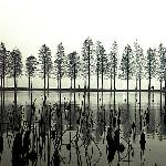 心境＝心静图片 自然风光 风景图片