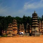 中原印象少林寺图片 自然风光 风景图片