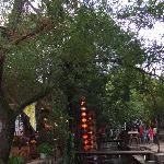 迷人的丽江古城图片 自然风光 风景图片