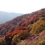 惠山行图片 自然风光 风景图片