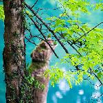 春之蓝色畅想－贵州荔波小七孔－《包包泡泡去旅行》图片 自然风光 风景图片