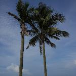广西行之北海银滩篇图片 自然风光 风景图片