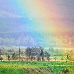 阿尔山之彩虹图片 自然风光 风景图片