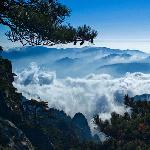 烂片之黄山云海图片 自然风光 风景图片