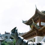 景德古镇——御窑厂、珠山龙珠阁图片 自然风光 风景图片