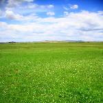补几张锡林郭勒草原的PP图片 自然风光 风景图片