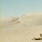 沙漠  驼队图片 自然风光 风景图片