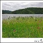 普达措国家公园图片 自然风光 风景图片