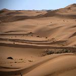 库布奇沙漠图片 自然风光 风景图片