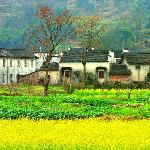 黟县田园图片 自然风光 风景图片