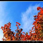秋的旋律图片 自然风光 风景图片