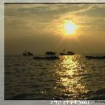 黄金海--东海大堤的日出图片 自然风光 风景图片