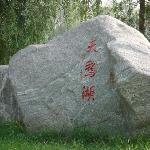 伪天鹅湖图片 自然风光 风景图片