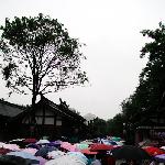 &#;烟雨宽巷子.羽人&#;图片 自然风光 风景图片