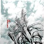 印象河口图片 自然风光 风景图片